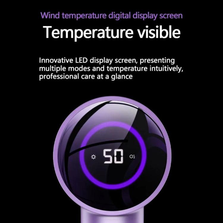 D3 110000 High Speed Smart Constant Temperature Negative Ion Hair Dryer, Color: EU Plug Purple by bashfashion
