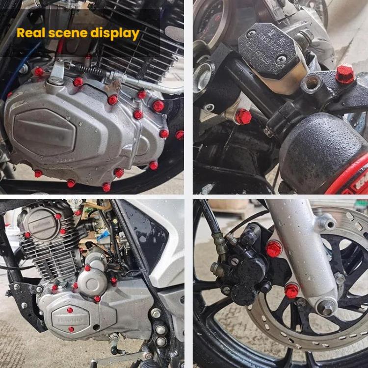 TBD06058165_B8.jpg@cc56c7c5579cb70b75bf3429eddb6b8f