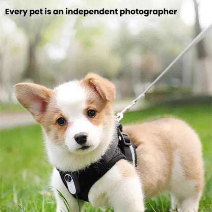 TBD06058184_B2.jpg@f0a5878ce62b67bba5fc3b29fa86e49c