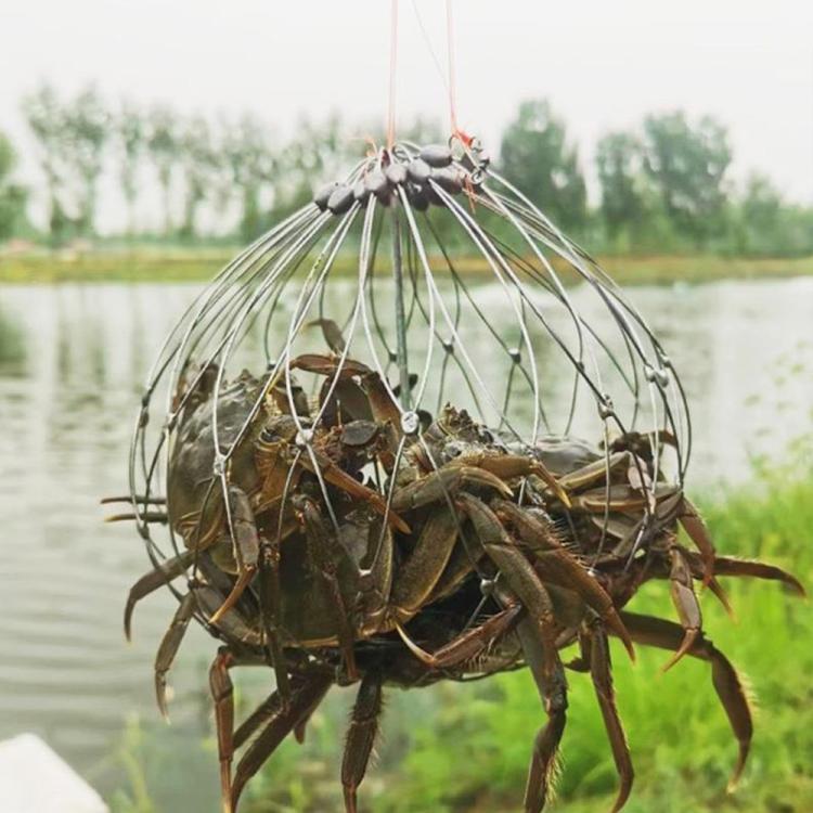 Diameter 62cm/20 Strands Automatically Retractable Crab Cage Wire Crab Opening And Closing Cage by bashfashion