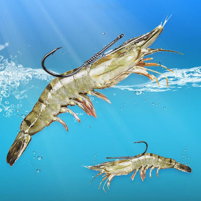 10pcs /Box Crooked Mouth Barbed Sea Fishing Hook Lure Fishing Hanging Shrimp Hook(Mixed Number) by bashfashion