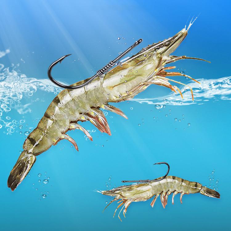 10pcs /Box Crooked Mouth Barbed Sea Fishing Hook Lure Fishing Hanging Shrimp Hook(4) by bashfashion