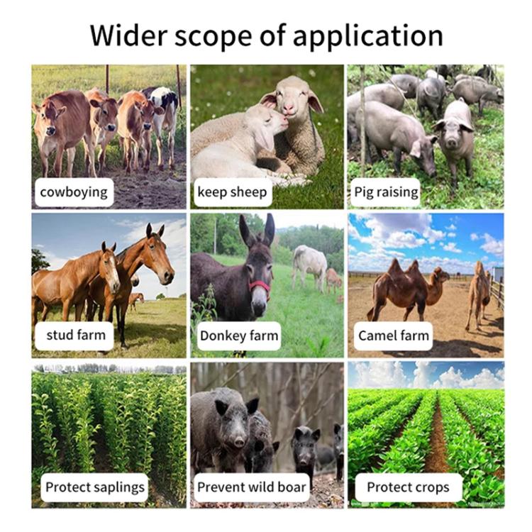 TBD06059063_B2.jpg@bd61bad5454a0043b94d0f778dc76e88