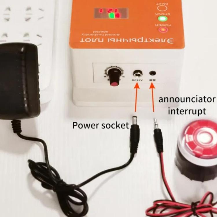 TBD06059063_B4.jpg@ac3554895cea46df07e0ee003abae012