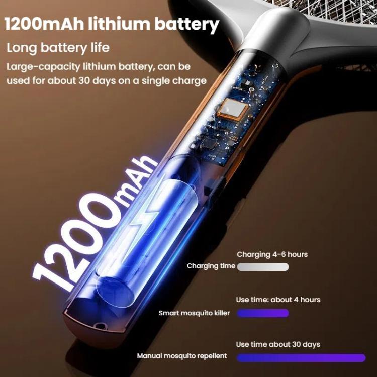 TBD06059413_B10.jpg@913fe31ec5ad151fdce8de7e0609951c