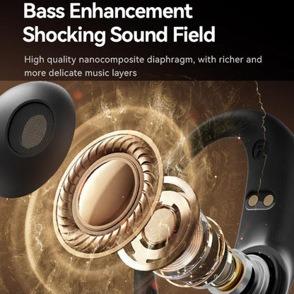 TBD06059626_B3.jpg@84144e66addf5a71f886a981bd8867e1