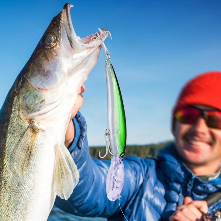 PROBEROS DW627 Long-Distance Casting Large Minnow Lure Fishing Bionic Bait, Style: D(22.5cm/75g) by PROBEROS