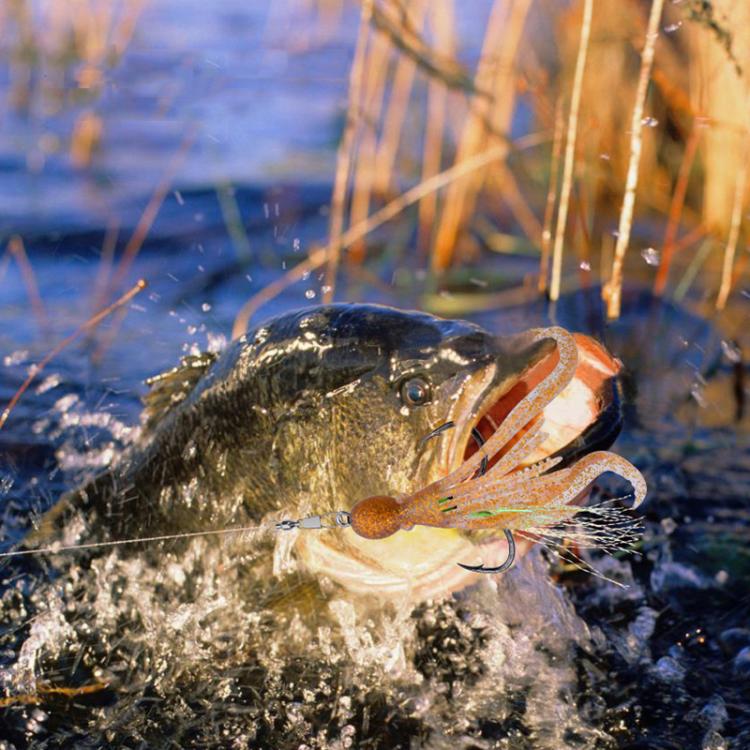 5pcs / Pack PROBEROS DW6123 10cm-4.8g Simulated Squid Soft Bait Sea Fishing Octopus False Lure(A) by PROBEROS