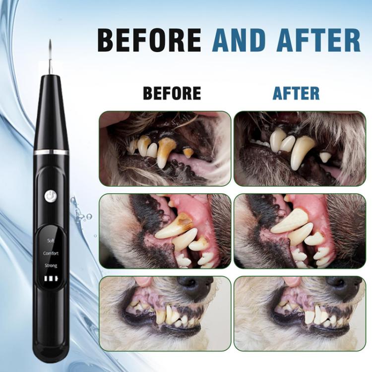 Pet Ultrasonic Teeth Cleaner Dog Tooth Brushing Kit Plaque Tartar Remover Dental Care Tool, Spec: With 3pcs Kit (White) by bashfashion