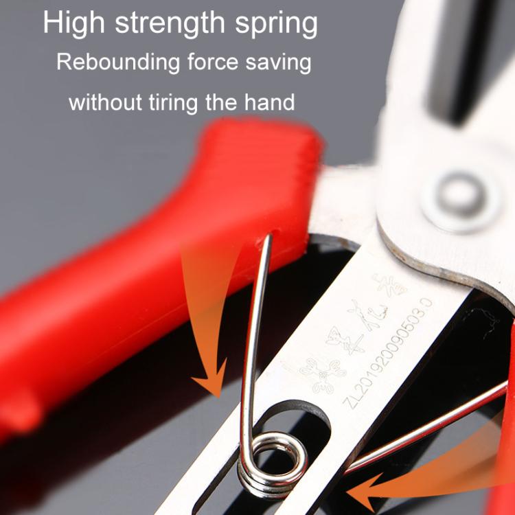 TBD06060208_B4.jpg@bf2e94223163c8186859532adbb4af27