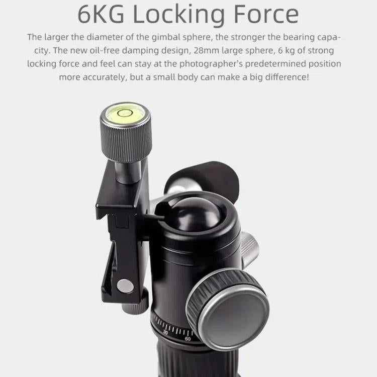 TBD06060259_7.jpg@626150353a2043d90ccd1d016e9bd1bb