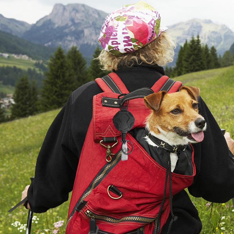 Hangable Climbing Buckle Retractable Anti-Loss Outdoor Climbing Pull Buckle(Black) by bashfashion