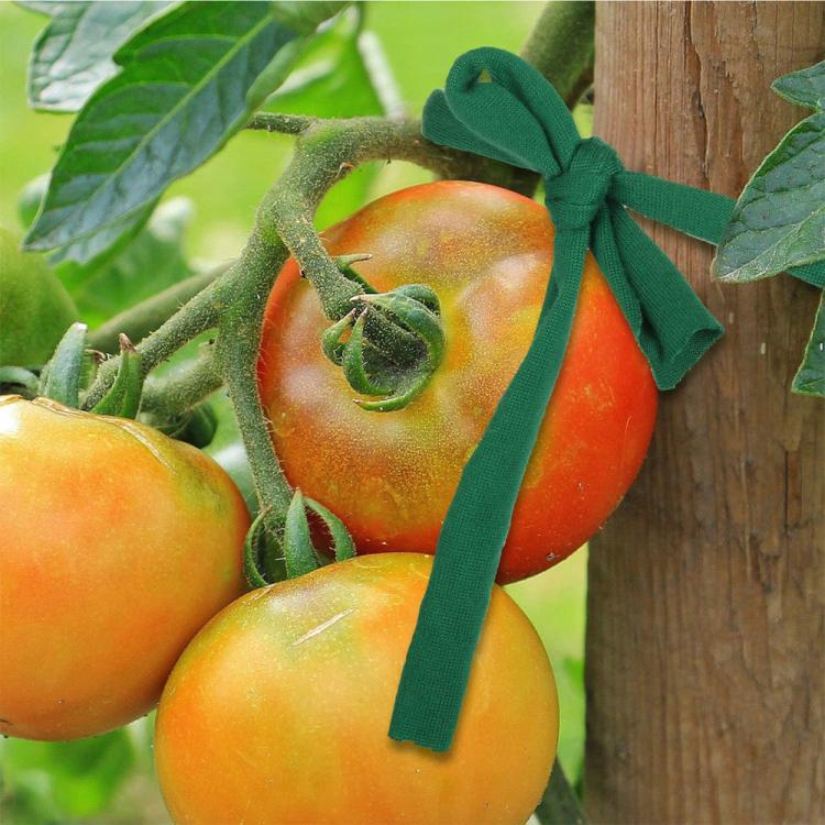 TBD06061194_B2.jpg@95e07d122bb66fb2d6b5dde5d3f813e1