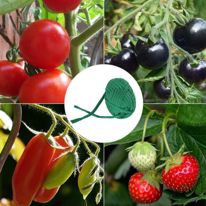 TBD06061194_B5.jpg@b27d935bd556d79f0d6ac145ece0b03b