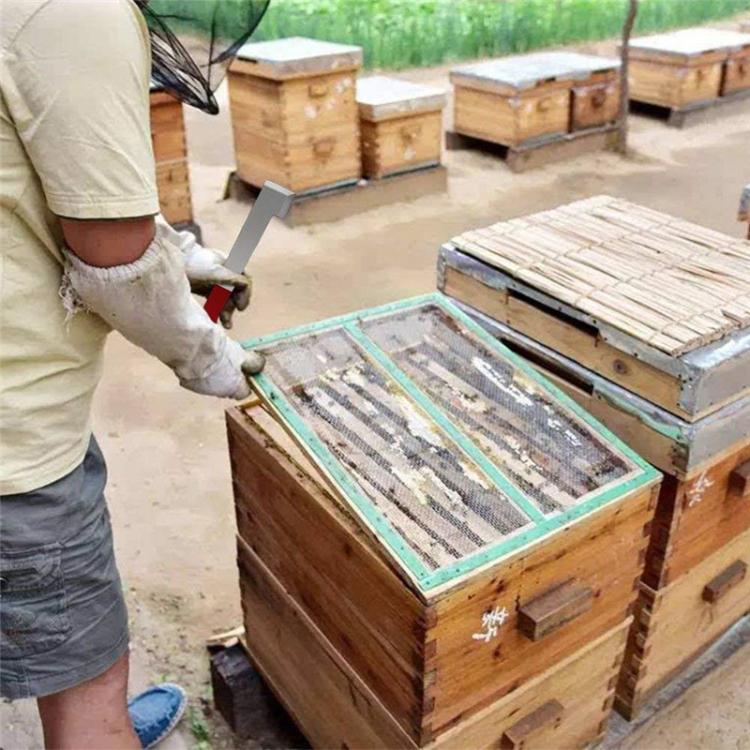 Stainless Steel Curved Tail Beehive Scraper Beekeeping Tools by bashfashion