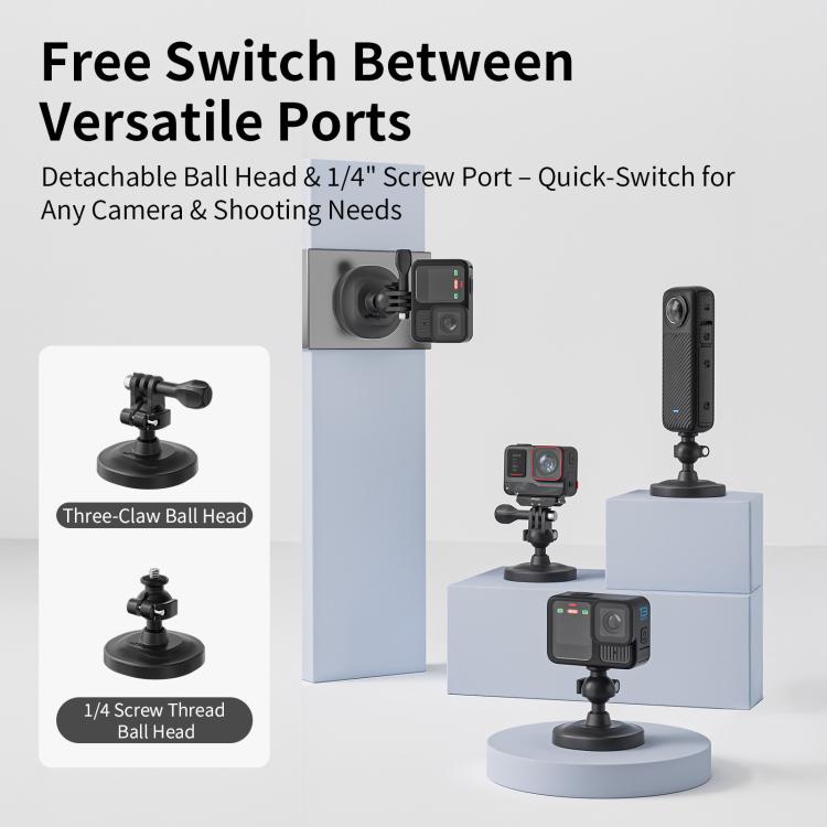 TBD06061251_B2.jpg@fc4b9b5a07c355304830497e3b918b7b