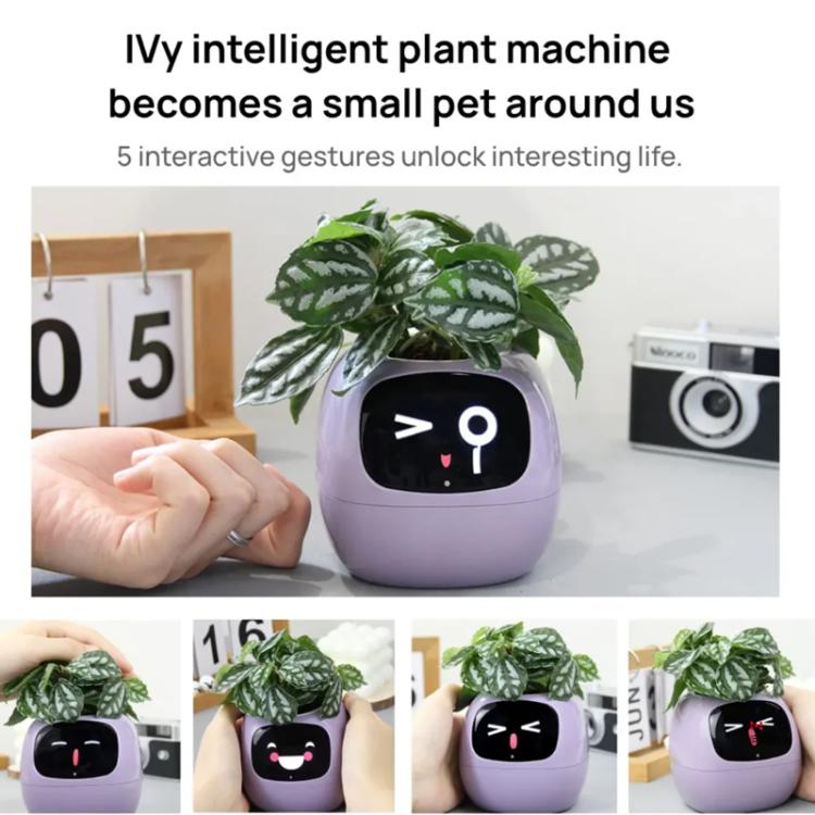 Smart Plant Pot With Multi-Sensors WiFi Plant Monitor With 2-Inch Screen Compatible With Mi/Tuya Home Ecosystem(Pink) by bashfashion