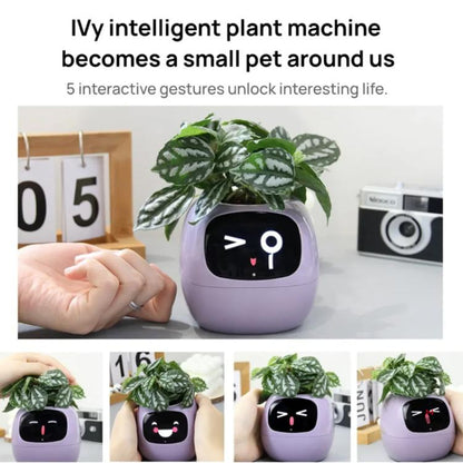 Smart Plant Pot With Multi-Sensors WiFi Plant Monitor With 2-Inch Screen Compatible With Mi/Tuya Home Ecosystem(Yellow) by bashfashion
