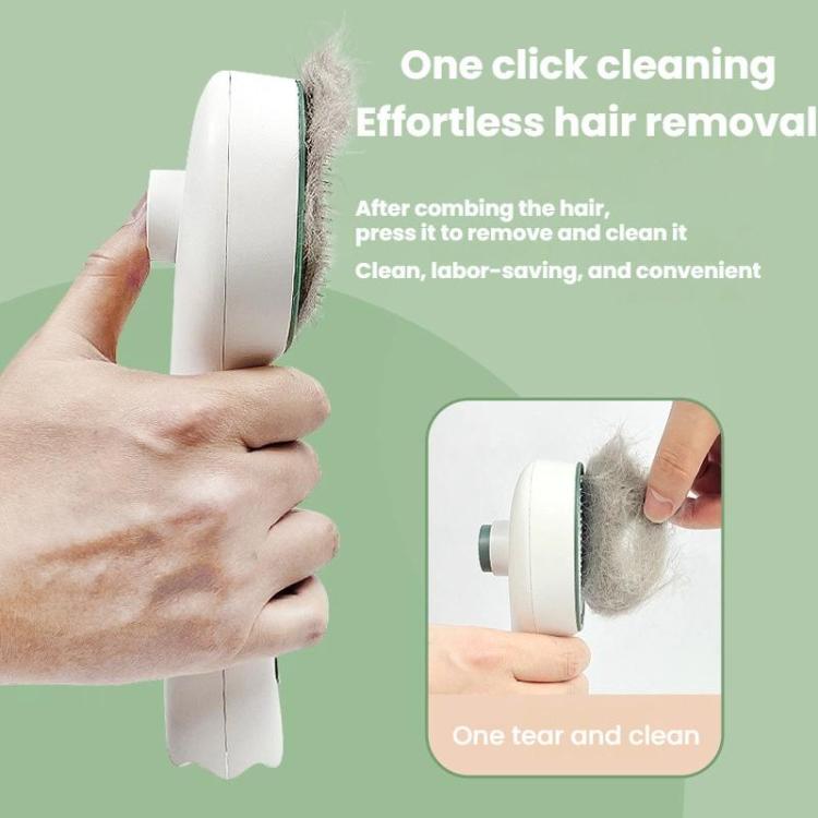 TBD06061724_B4.jpg@d99118a68fa8e1aa2b7c74ef6d4ce4ce