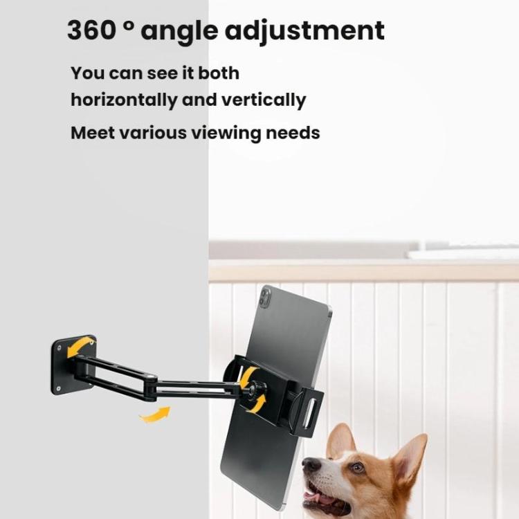 TBD06061857_B5.jpg@7a51df67842a1249035a3065e4f06e95