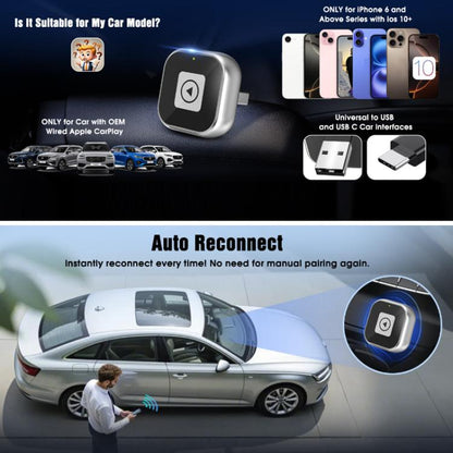 TBD06061972_B3.jpg@6e7b663f6e58ad95c27cb51fa322b4f5