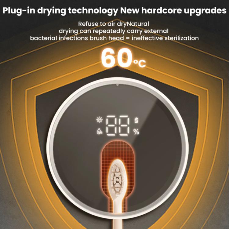 TBD06062230_B5.jpg@193f026d832024b5c7bf3f561addec23