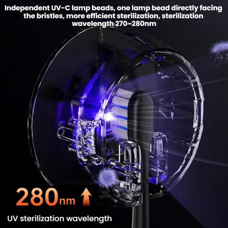 TBD06062247_B4.jpg@c2ecede02d0f5d1b6df88278297acfa6