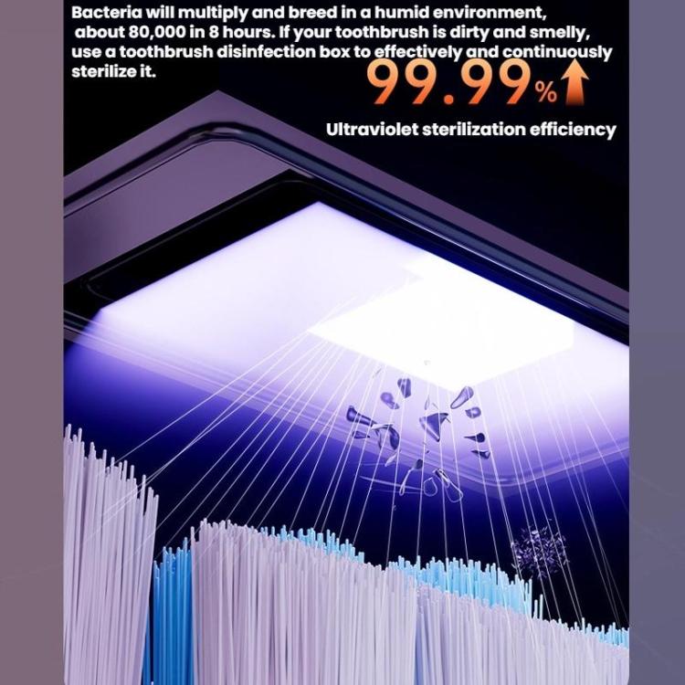 TBD06062247_B5.jpg@bedd6e2443619ebe93554648377f1597