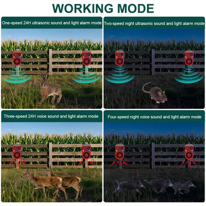 TBD06062277_B3.jpg@2949060c1253b521f7083148e4e967bf