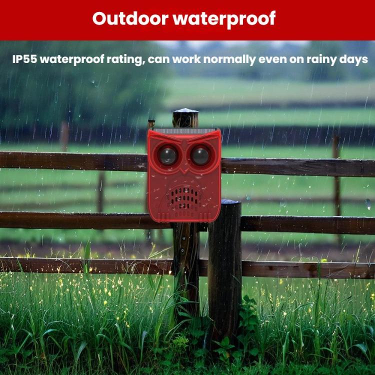 TBD06062280_B3.jpg@5209db5d662d41245330ee4cf1b76ebe