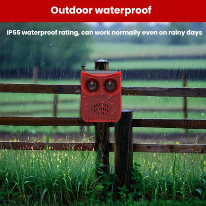 TBD06062280_B3.jpg@5209db5d662d41245330ee4cf1b76ebe