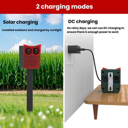 TBD06062280_B6.jpg@577fb4f2434c5bac250b2d470edf9cb4