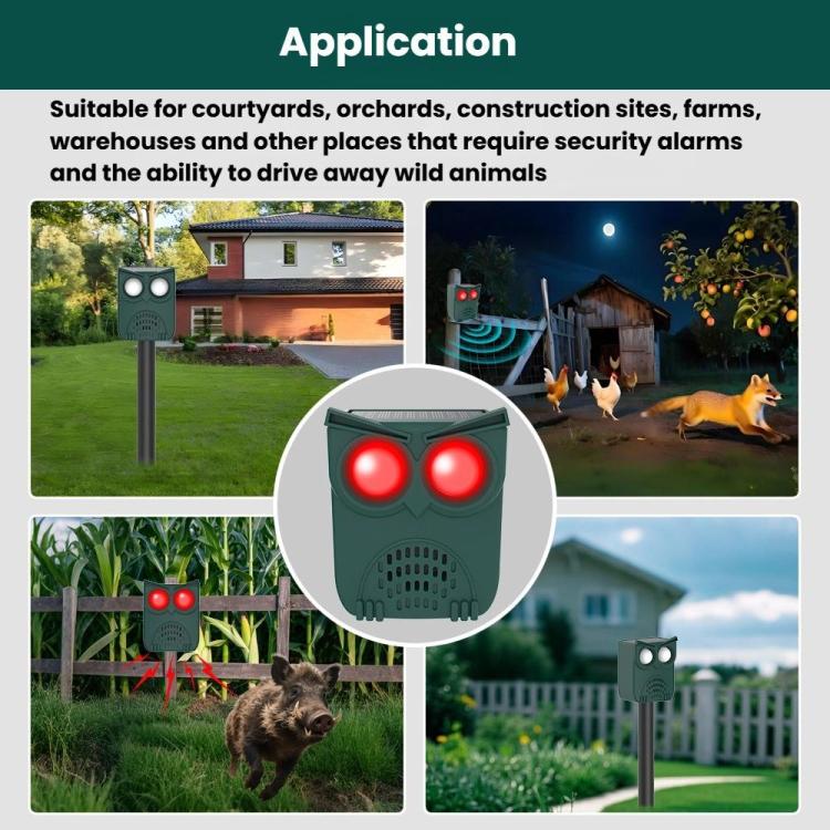 TBD06062305_B3.jpg@ca85cf3d7e882f932477a5003724ca81