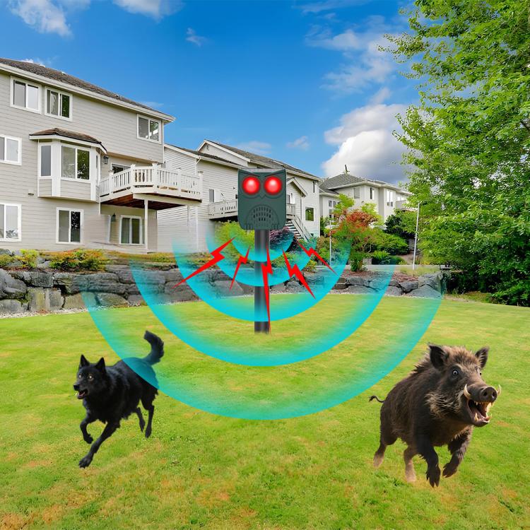 TBD06062305_B5.jpg@3f9e4cdae78275ae1dca54487fdc0094