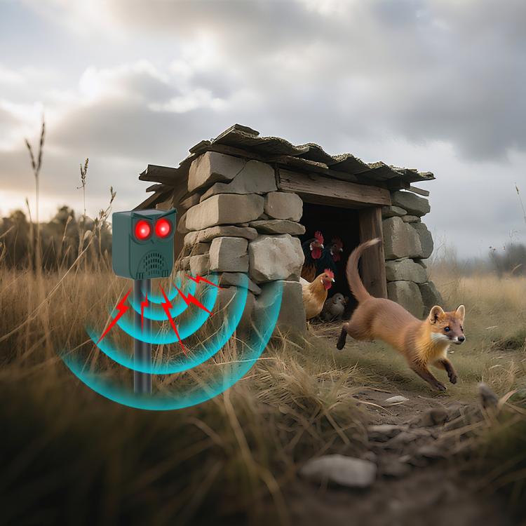 TBD06062305_B6.jpg@08687e8226d1c146347060de973afc7b