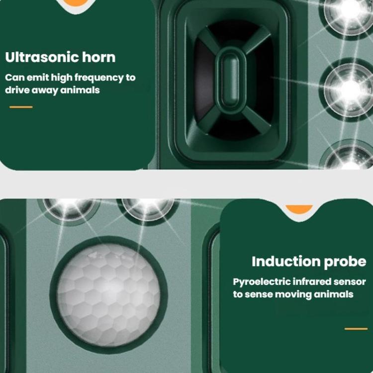 TBD06062385_B6.jpg@a5d92458d6631f606f02bea7e20e0a75