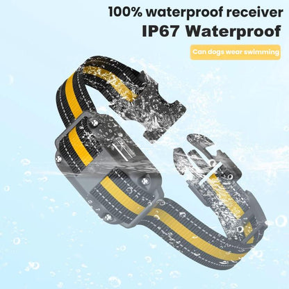 TBD06062645_B7.jpg@8c01f05a93cef7635d6b3d6dcaf60faa