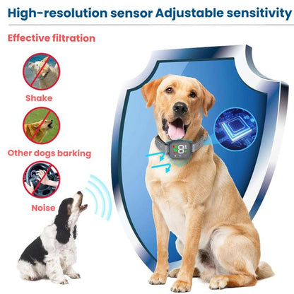 TBD06062648_B5.jpg@6a1a90245a1cd77c8b074904d6eb6c69