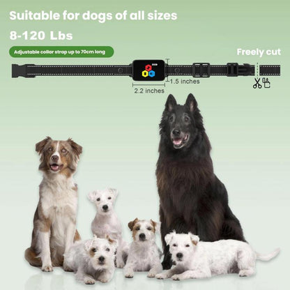 TBD06062682_B2.jpg@1e29c832eda1578344fe716d1a5ef659