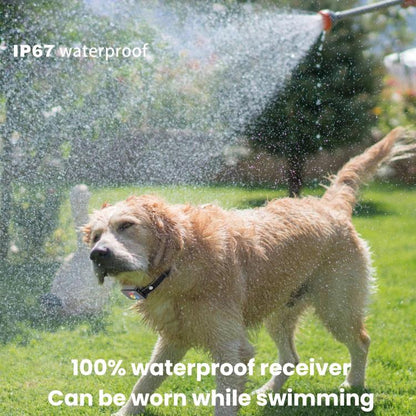 TBD06062682_B6.jpg@72f05558666a0e0fb08430598f070bf6