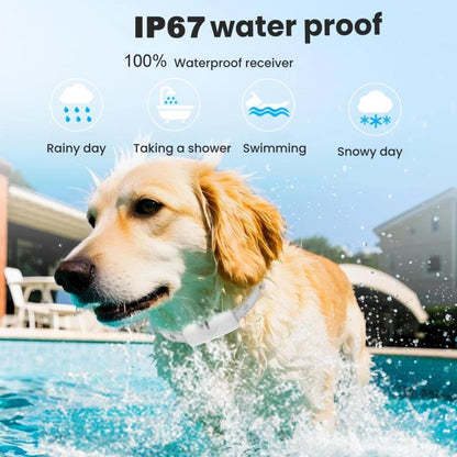 TBD06062685_B4.jpg@6503b9795b49f41dac8e6da0a0c7d299