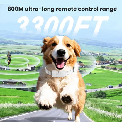 TBD06062685_B5.jpg@5c57e9bd7d855bc5fef95736894d3abc