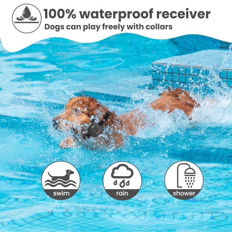 TBD06062706_B4.jpg@4494c80b44b8036f14e41922c8396d86