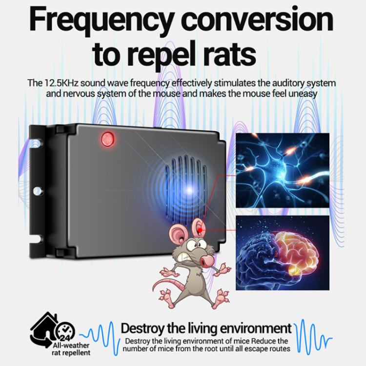 TBD06062901_B1.jpg@c87331d02f35c827183ba7c22cf9ed6e