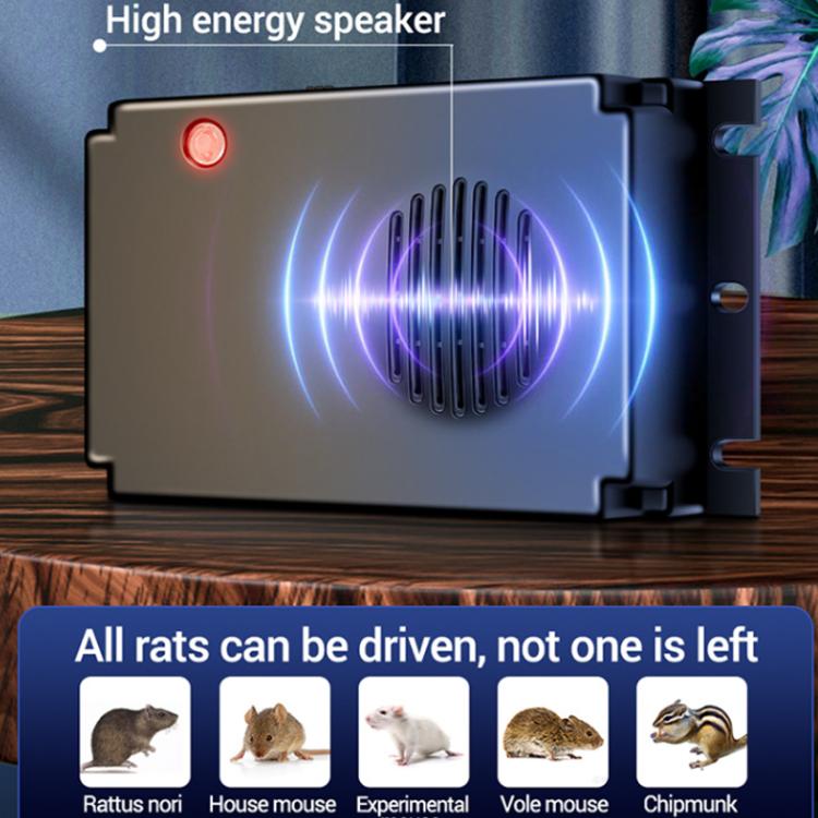 TBD06062901_B3.jpg@ca993e558fba1c72196044c4f8f8747e