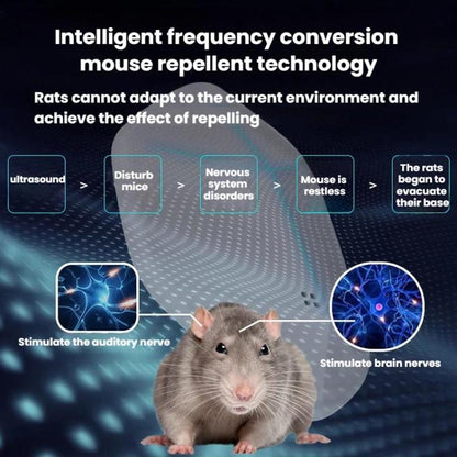 TBD06063159_B1.jpg@6fa550210c4ec16ae0d7a1cd5bf88ebe