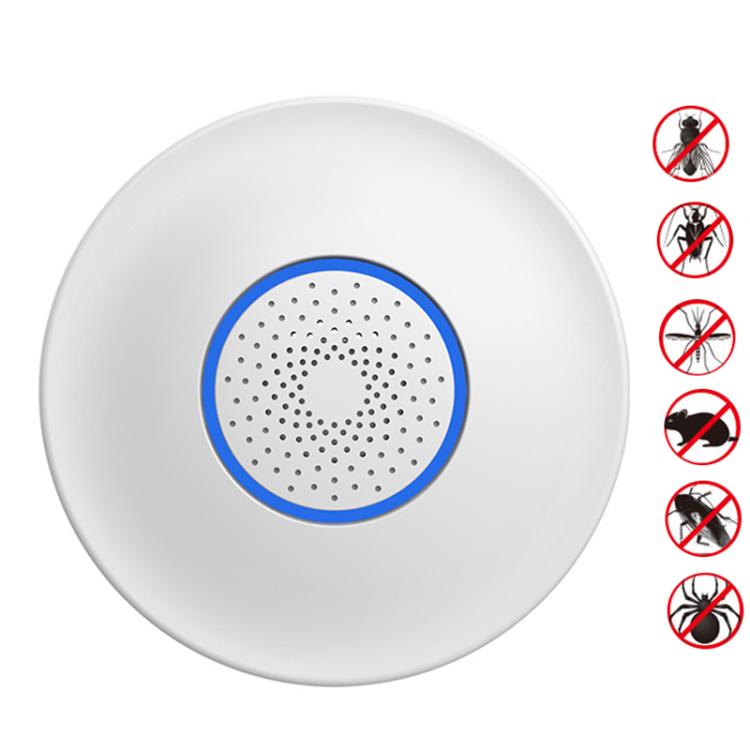 TBD0606317401.jpg@68814608f378324151543195c28dd76a