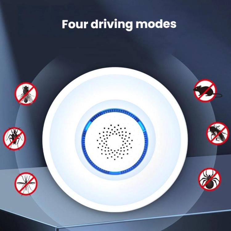 TBD06063174_B2.jpg@f5ab85855c02489b2e2bd795bdb908f1