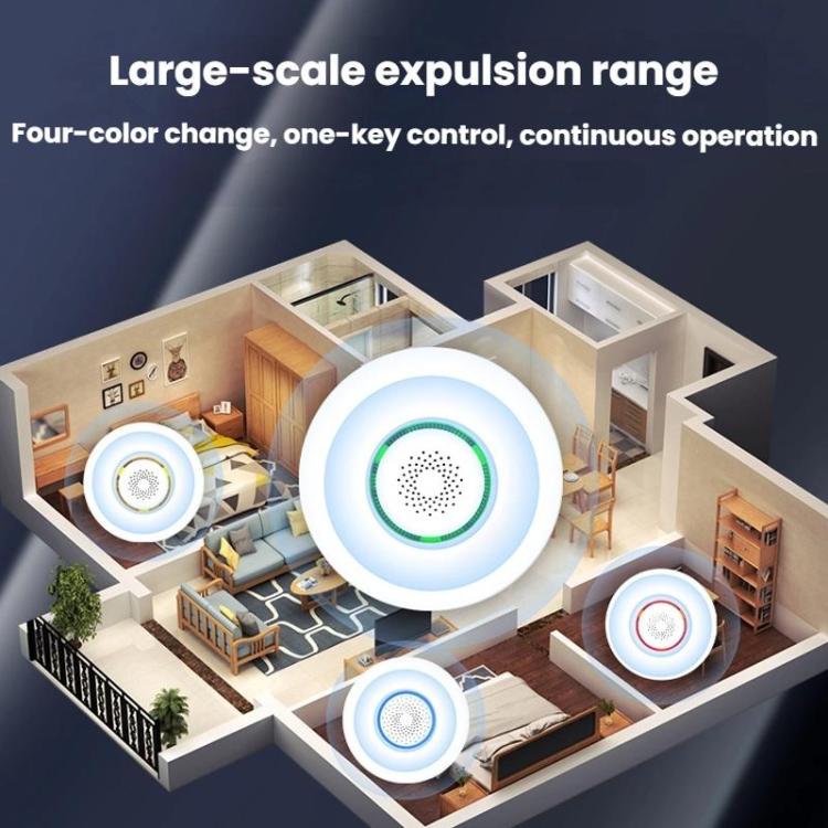 TBD06063174_B3.jpg@d26799b9aecc59bd920220f1a8414692