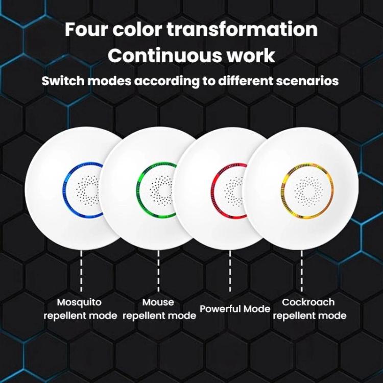 TBD06063174_B4.jpg@1a6eb76f46bbba02b5aa6a43bf053b42